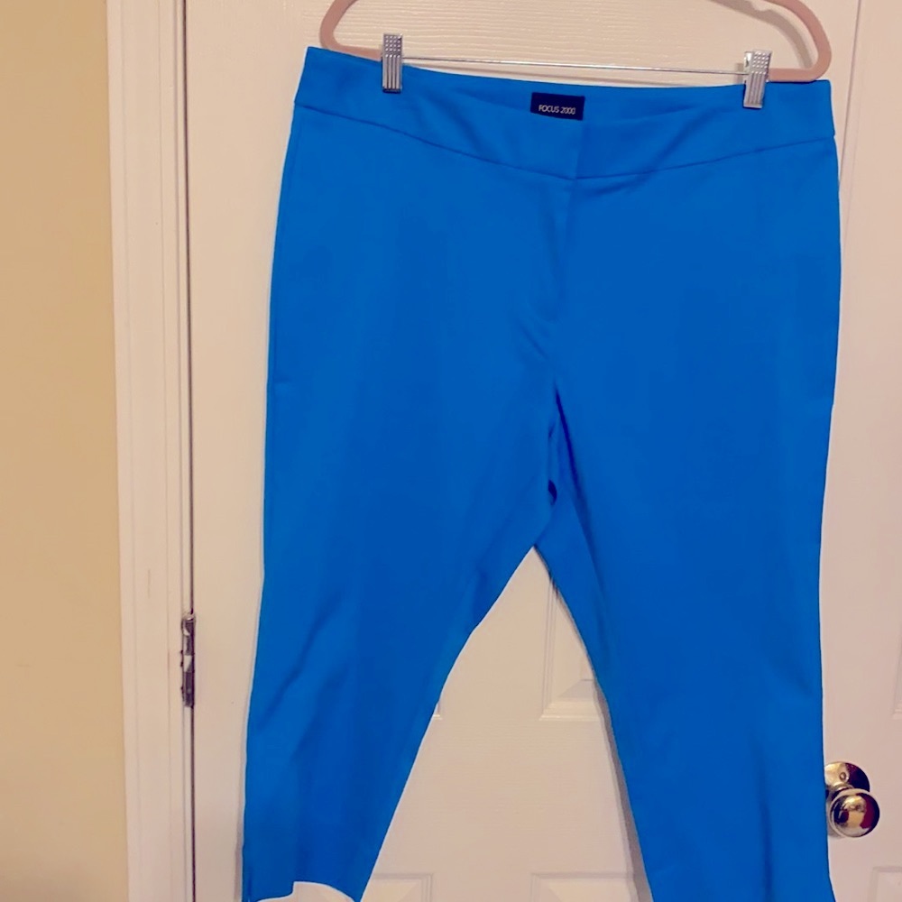 Focus 2000 Blue Capri Slacks Size 16